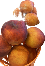Load image into Gallery viewer, Peach Belle of Georgia