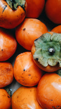 Load image into Gallery viewer, Diospyros virginiana American Persimmon
