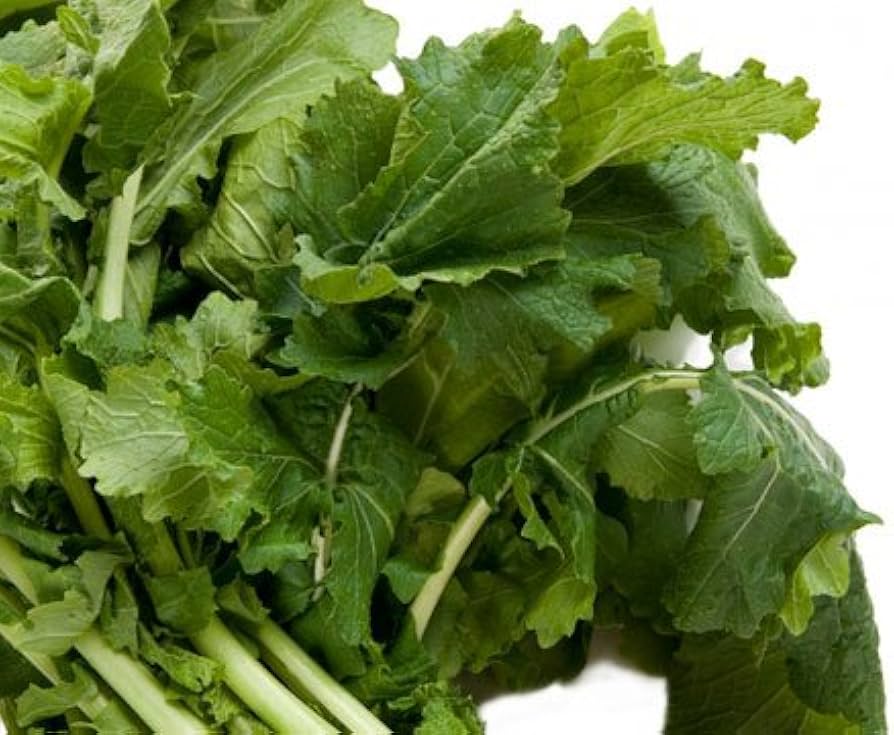 Turnip Seven Top Seed