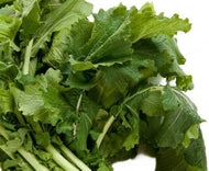 Turnip Seven Top Seed