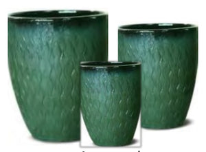 9.1" Toga Bell Forest Green Seaweed Texture