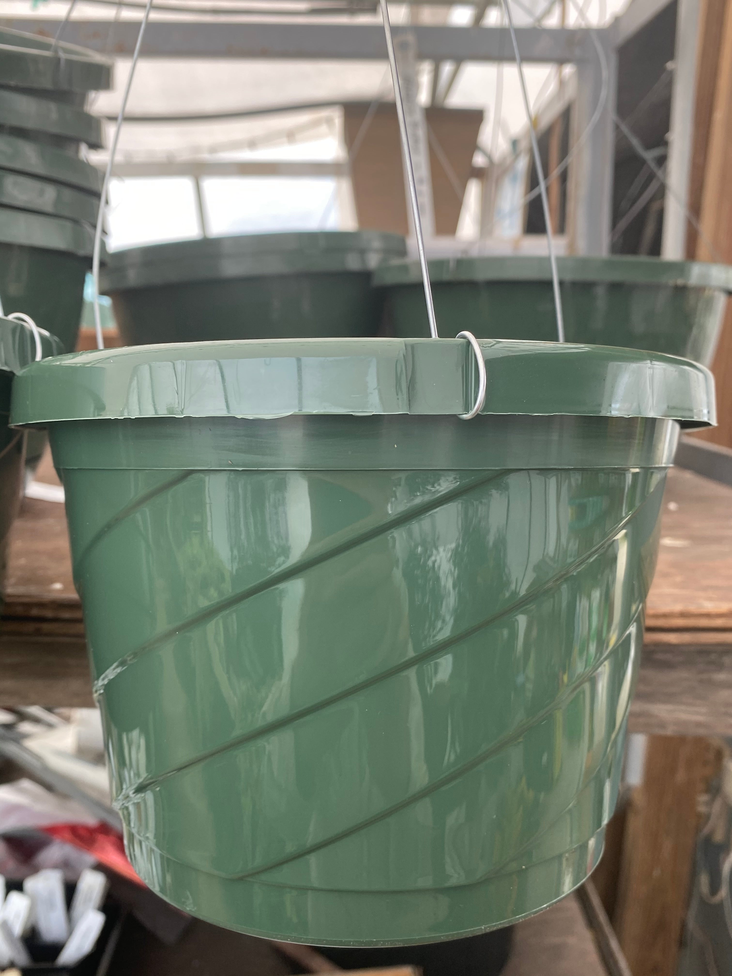 10 in hanging planter 10