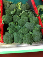 Broccoli Green Magic