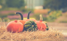 Load image into Gallery viewer, Pumpkins -coming soon
