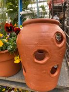 Terracotta Strawberry Jar