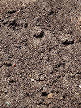 Load image into Gallery viewer, Sreened Garden Soil in bulk

