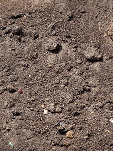 Sreened Garden Soil in bulk