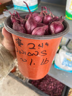 Onion Sets