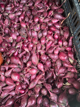 Load image into Gallery viewer, Onion Sets
