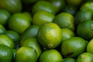 Citrofortunella Key Lime Citrus
