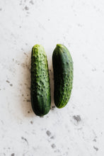 Load image into Gallery viewer, Cucumber National Pickling
