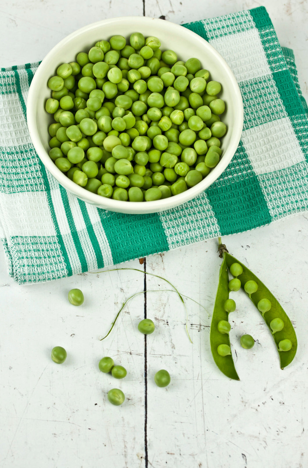 Garden Pea Sugar Snap