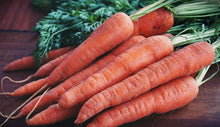 Load image into Gallery viewer, Tendersweet Carrot
